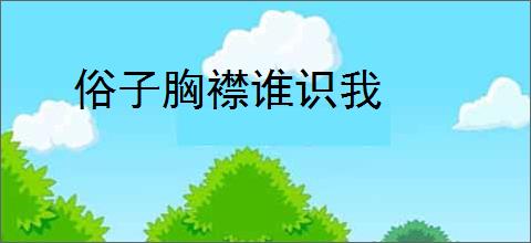 俗子胸襟谁识我