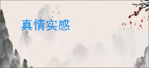 真情实感