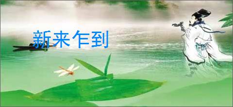 新来乍到