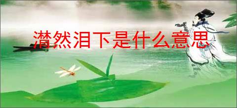 潸然泪下是什么意思